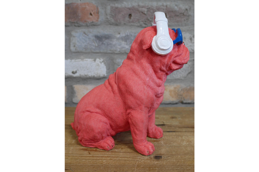 Dog With Headphones