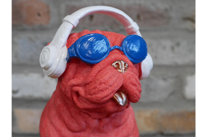 Dog With Headphones