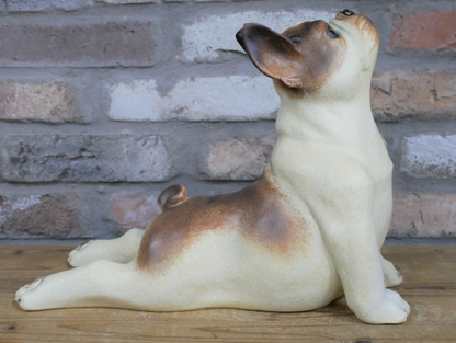Stretching Dog