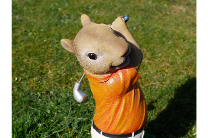 Squirrel Golfer