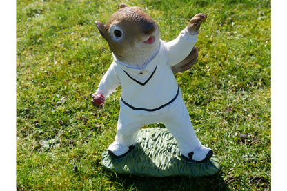 Squirrel Bowler