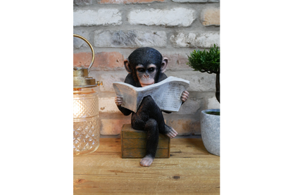 Monkey Reading The News