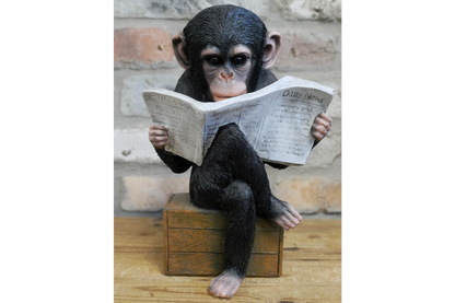 Monkey Reading The News