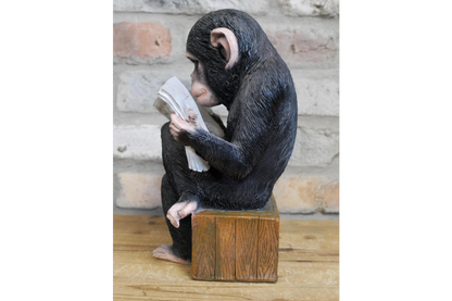 Monkey Reading The News