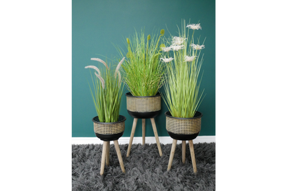 Set Of Three Plant Stands