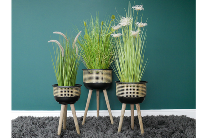 Set Of Three Plant Stands