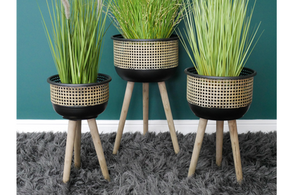 Set Of Three Plant Stands