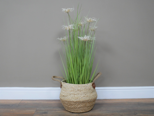 Basket / Planter