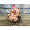 Loaded Pig