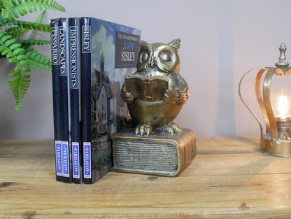 Reading Owl