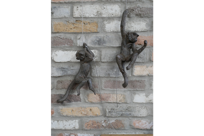 Hanging Monkeys