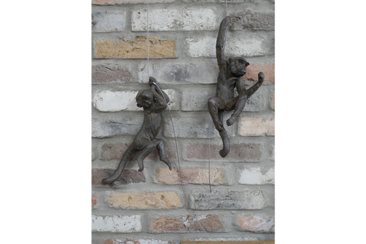 Hanging Monkeys