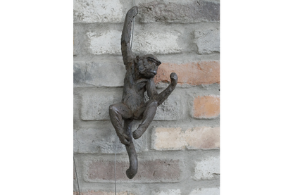 Hanging Monkeys