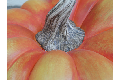Pumpkin-2