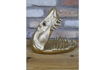 Shark Dish