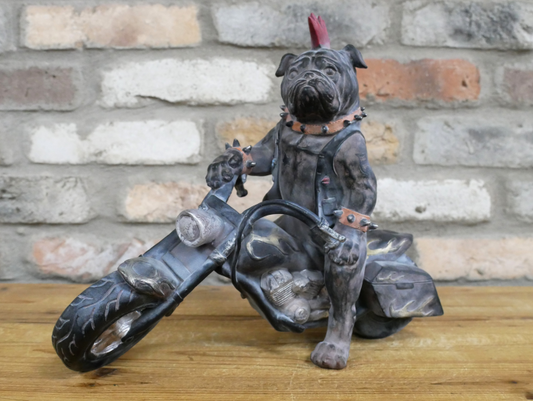 Bulldog On Motorbike