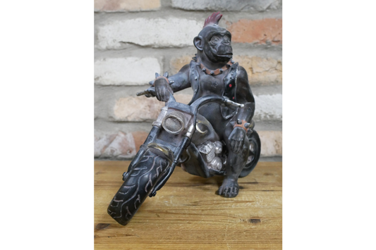 Monkey On Motorbike