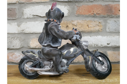 Monkey On Motorbike