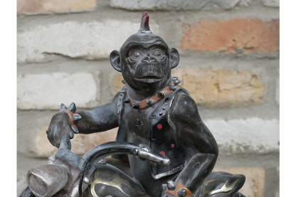 Monkey On Motorbike