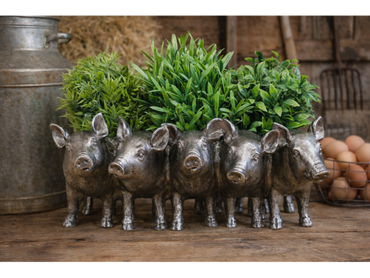 Pig Planter