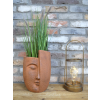 Face Planter