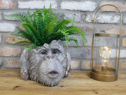 Monkey Head Planter