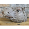 Hippo Head Planter