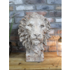 Lion Head