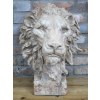 Lion Head