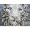 Lion Head