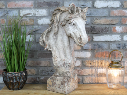 Horse Head