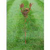 Rusty Bird Stake