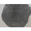 Black Wood Decoration