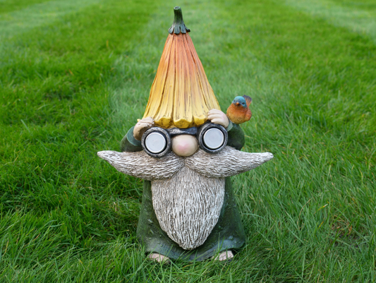 Gnome With Solar Lights