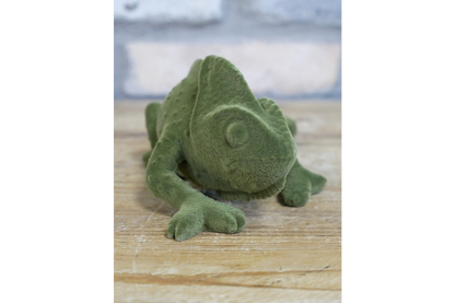 Geko