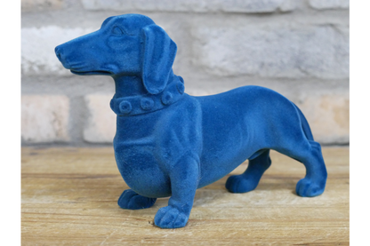 Blue Dachshund Dog