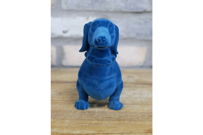 Blue Dachshund Dog