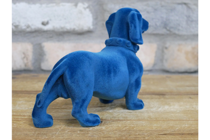 Blue Dachshund Dog