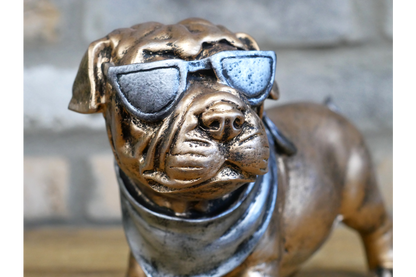 Dog With Shades