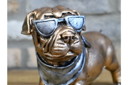 Dog With Shades