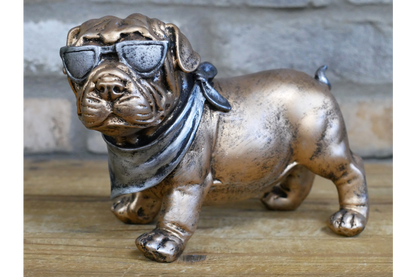 Dog With Shades