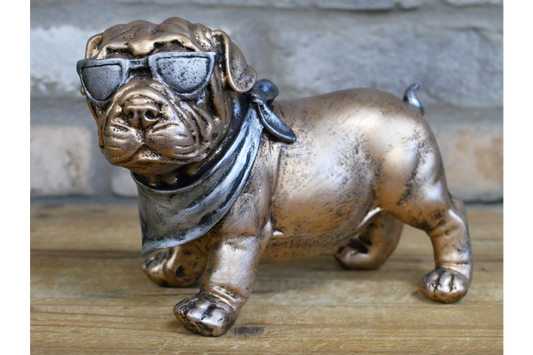Dog With Shades