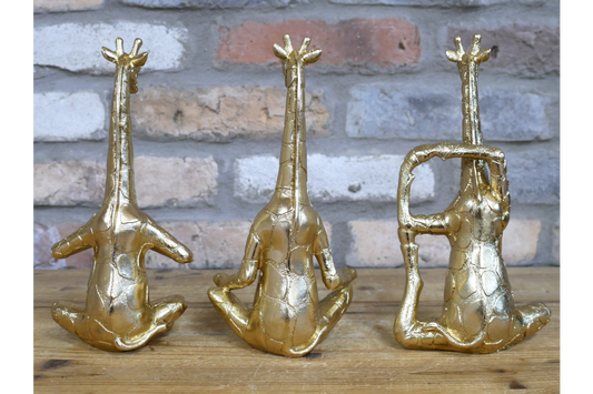 Set Of 3 Yoga Giraffes