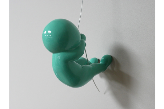 Abseiling Ball Head
