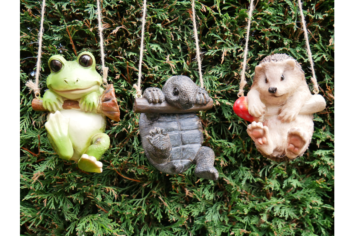 Hanging Tortoise