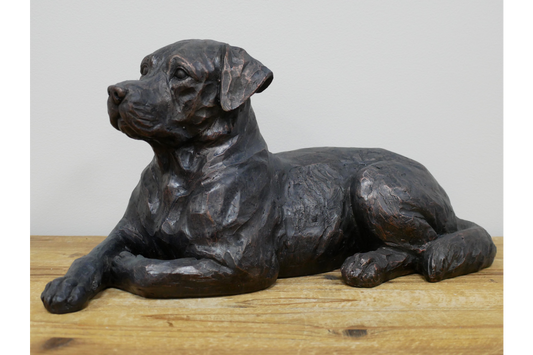 Laying Dog
