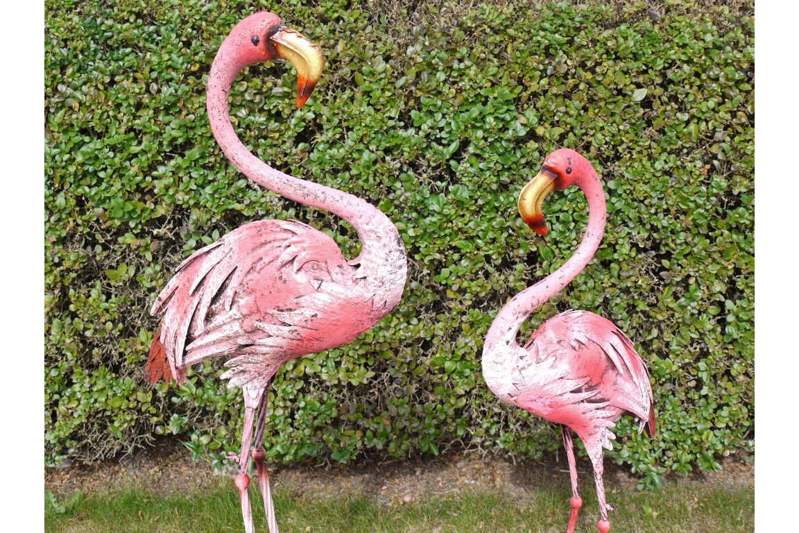Flamingo - Large