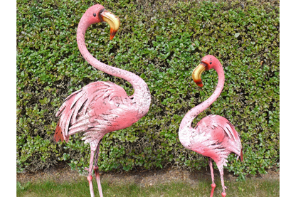 Flamingo - Large