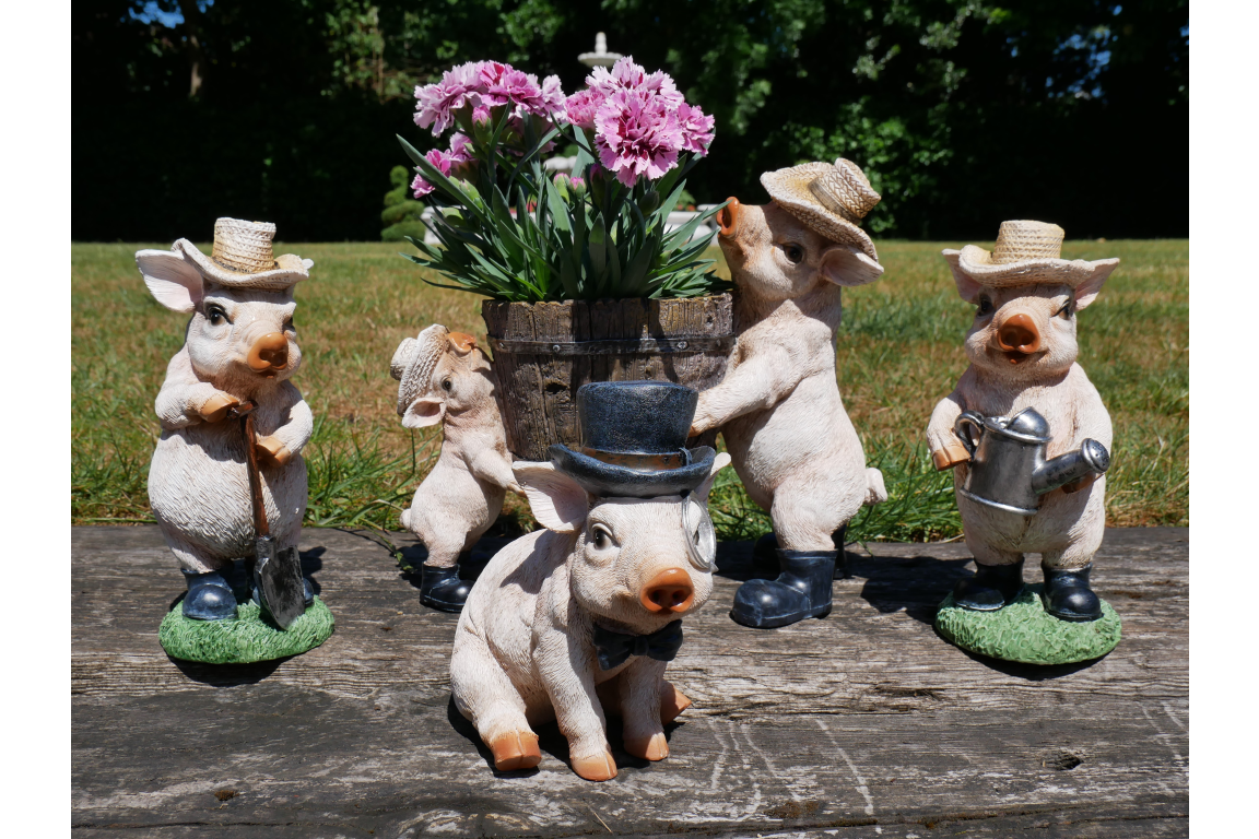 Pig With Monocle