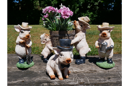 Pig With Monocle